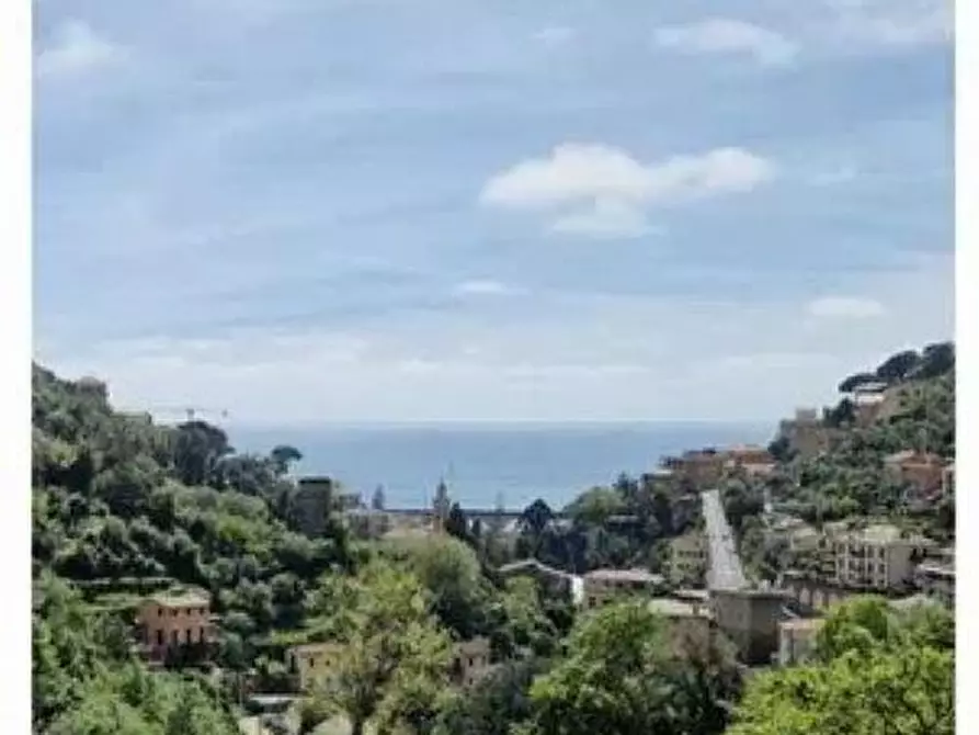 Immagine 2 di Villetta a schiera in vendita  in VIA CANEVELLI 88 a Zoagli