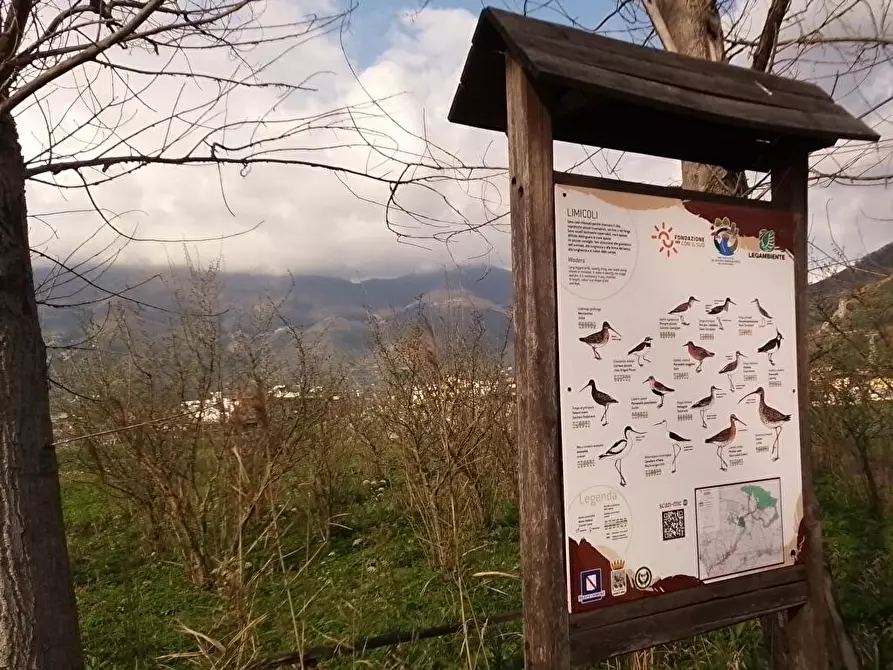 Immagine 2 di Terreno agricolo in vendita  in Via Masseria Pigliuocco 1 a Sarno