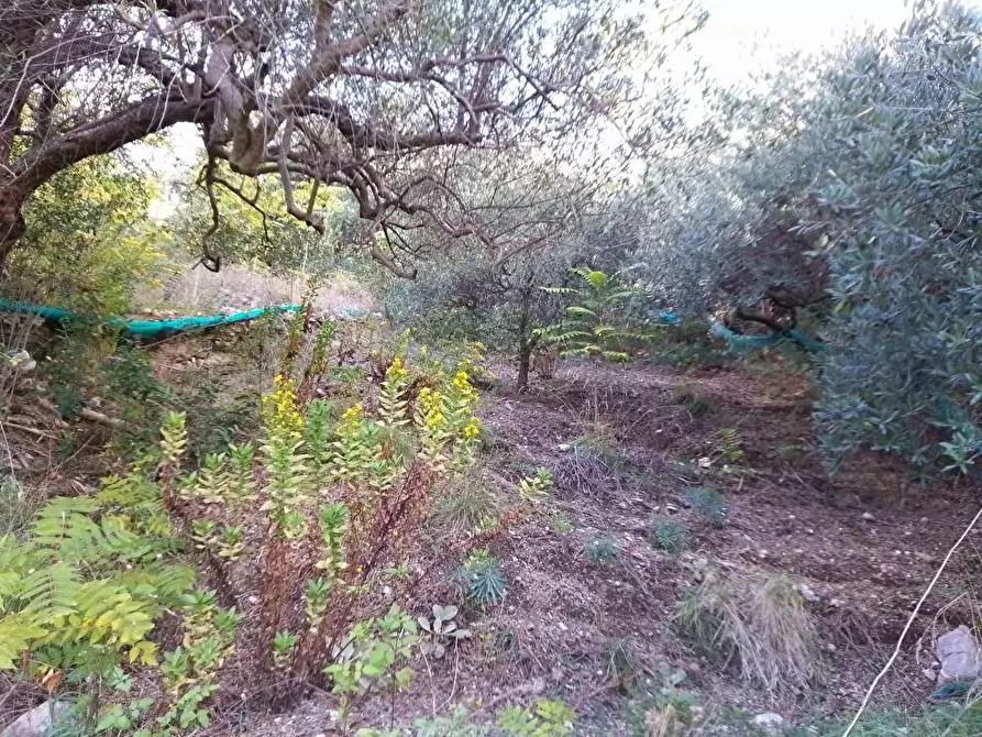 Immagine 13 di Terreno agricolo in vendita  in Via  Bracigliano 1 a Sarno