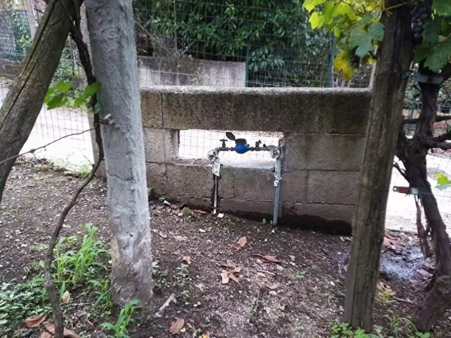 Immagine 3 di Terreno agricolo in vendita  in Via  San Vito 1 a Sarno