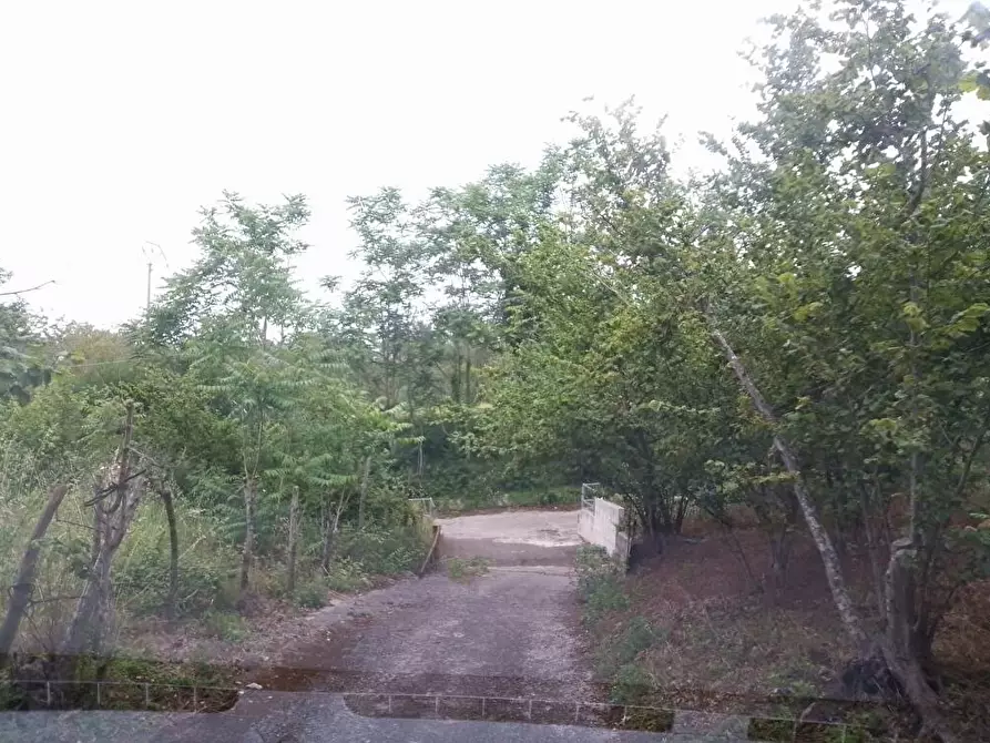 Immagine 3 di Terreno in vendita  in Via Sant'Eramo 10 a Sarno