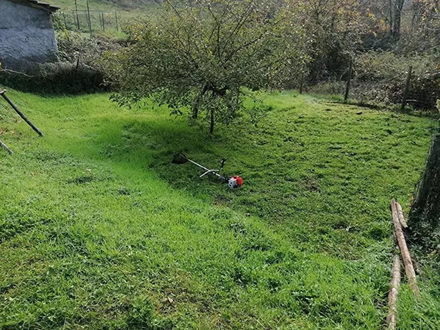 Immagine 2 di Casa semindipendente in vendita  a Dego