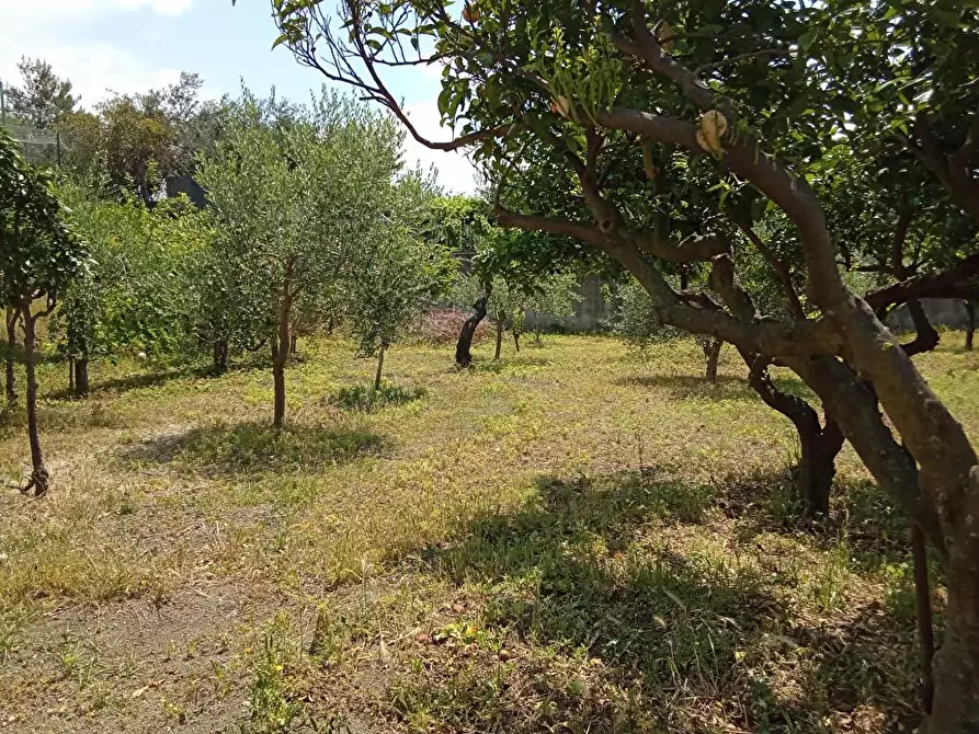 Immagine 4 di Terreno agricolo in vendita  in Via San Vito 1 a Sarno