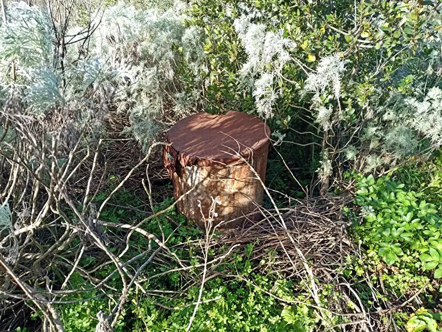 Immagine 7 di Magazzino in vendita  in SV San Quirico snc a Sassari