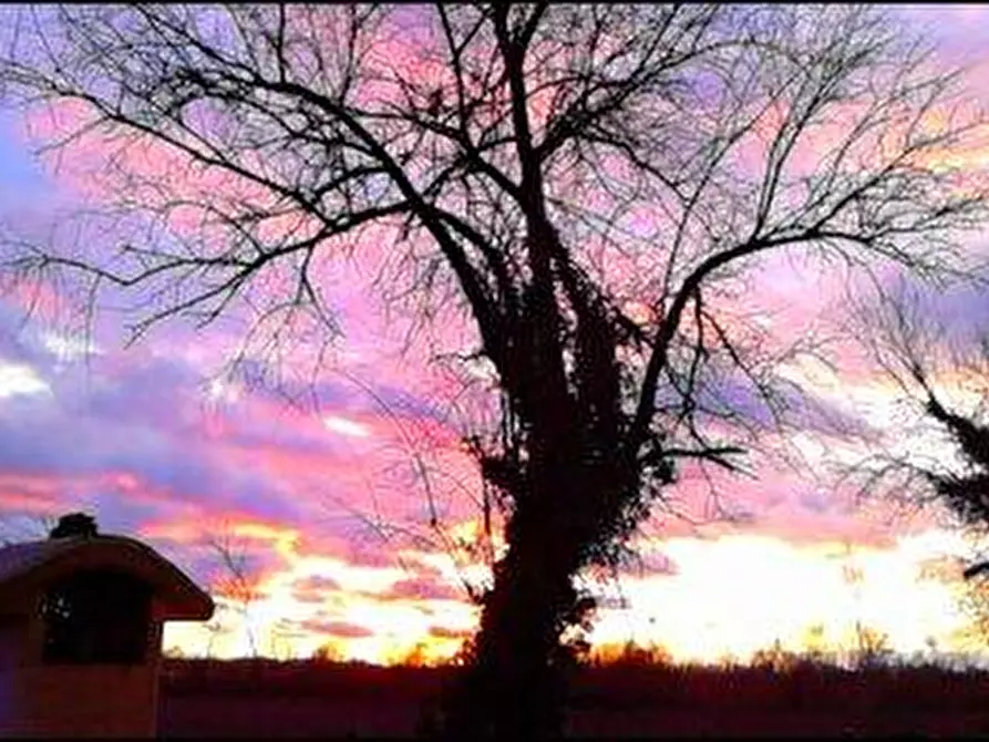 Immagine 11 di Albergo/B&B/Residence in affitto  in Via Caduti Per la Liberta' 80 a Castenaso