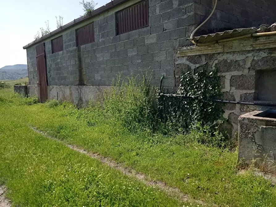 Immagine 14 di Terreno agricolo in vendita  in Matta e Padru snc a Bonorva