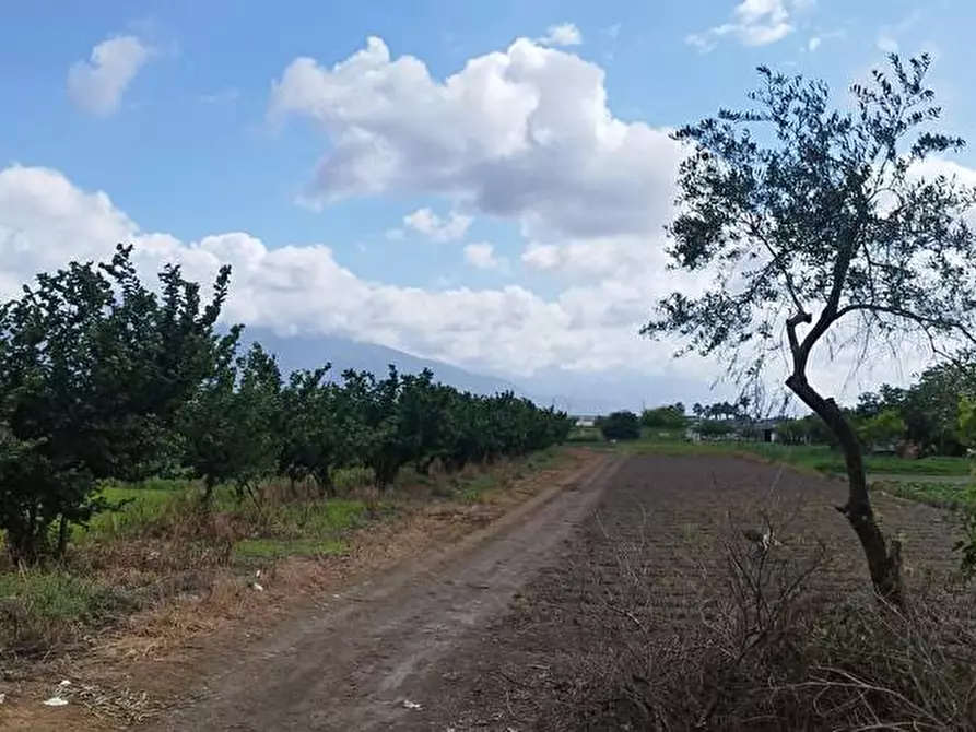 Immagine 1 di Terreno agricolo in vendita  in Via Fraina 1 a Sarno