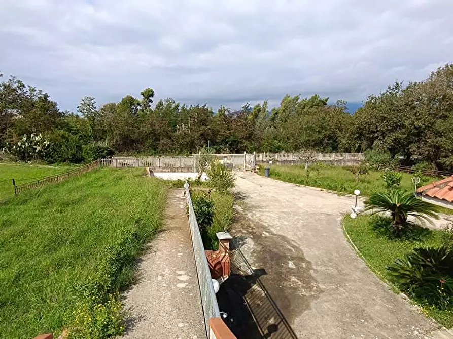 Immagine 13 di Casa indipendente in vendita  in Contrada Zampini  a Ascea