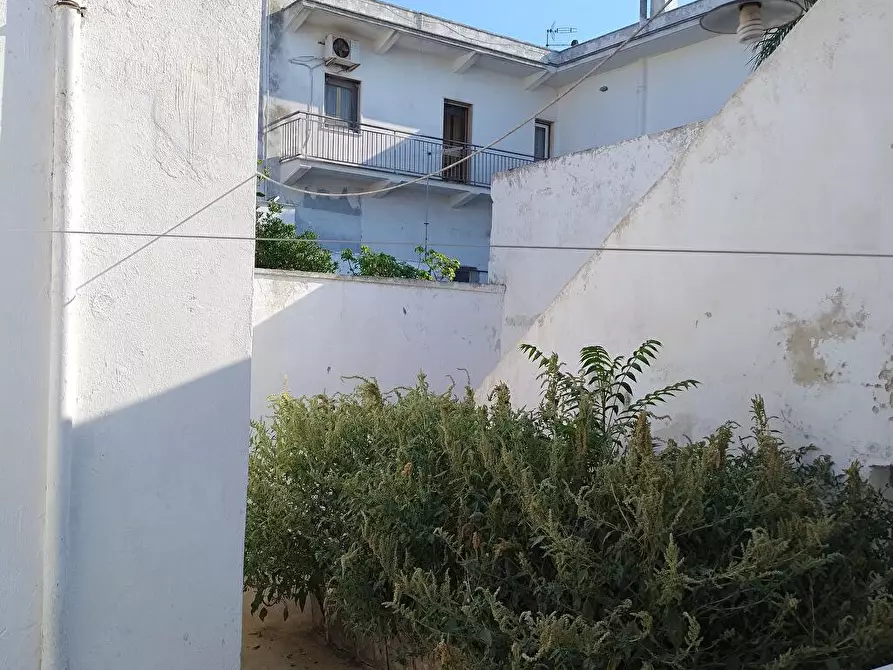 Immagine 6 di Casa indipendente in vendita  in Via V. Emanuele III 33 a San Donaci