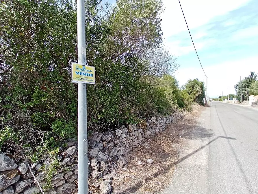 Immagine 9 di Terreno agricolo in vendita  in Li Curuneddi Tronco B snc a Sassari