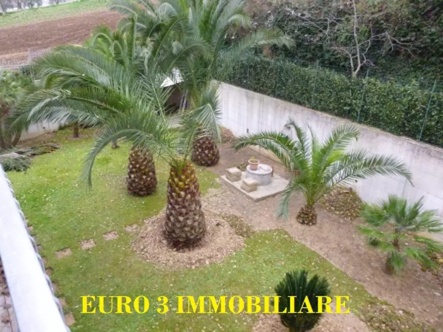 Immagine 5 di Terratetto in vendita  in ZONA ARTIGIANALE a Acquaviva Picena