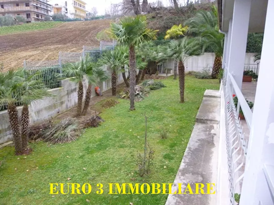 Immagine 6 di Terratetto in vendita  in ZONA ARTIGIANALE a Acquaviva Picena