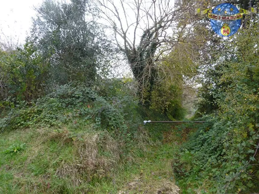 Immagine 7 di Rustico / casale in vendita  in CONTRADA ASO a Montefiore Dell'aso