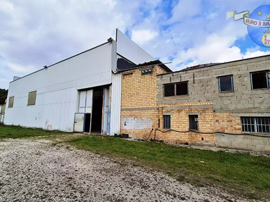 Immagine 4 di Capannone industriale in vendita  in STRADA BONIFICA, 35 a Ancarano