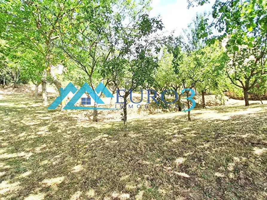 Immagine 23 di Rustico / casale in vendita  in CONTRADA CERRARRA a Amandola