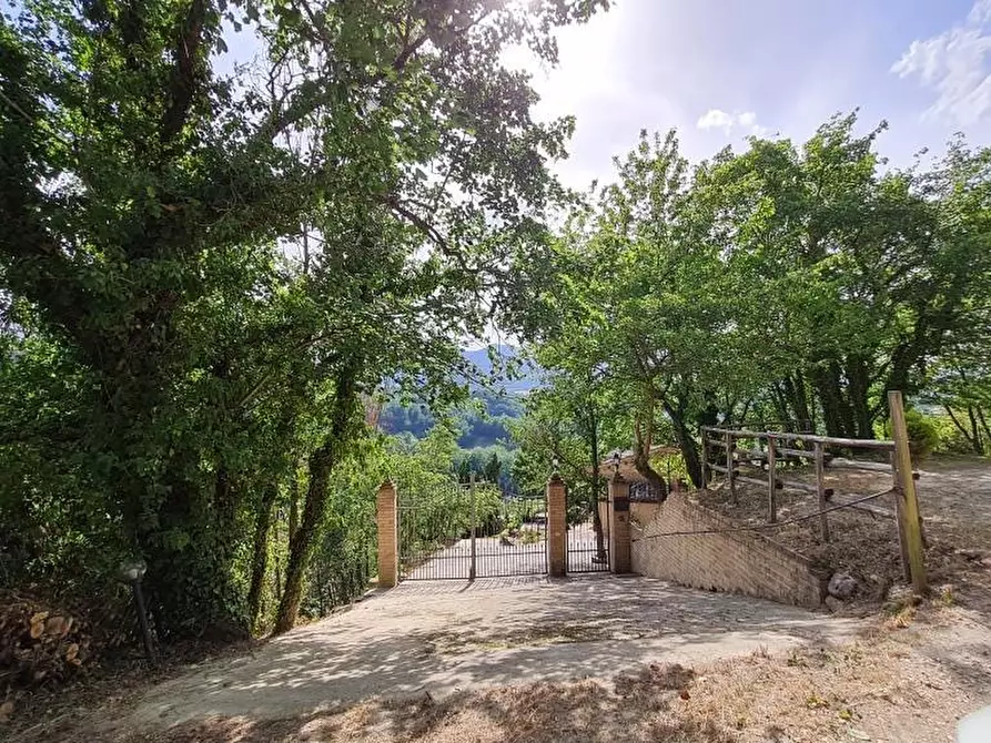 Immagine 3 di Rustico / casale in vendita  in CONTRADA CERRARA a Amandola