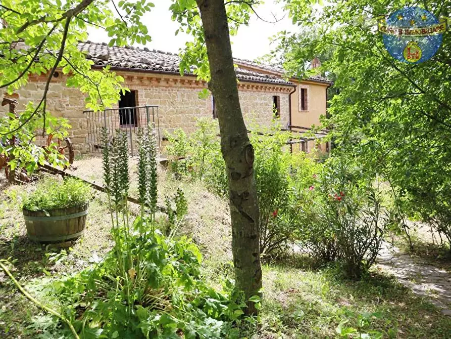 Immagine 18 di Rustico / casale in vendita  in CONTRADA CERRARA a Amandola