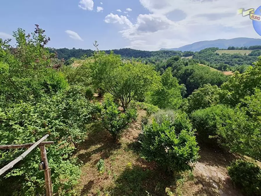 Immagine 23 di Rustico / casale in vendita  in CONTRADA CERRARA a Amandola