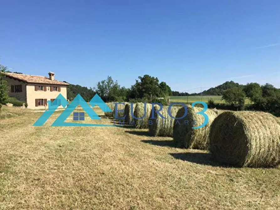 Immagine 19 di Rustico / casale in vendita  in ARATO a Montefortino