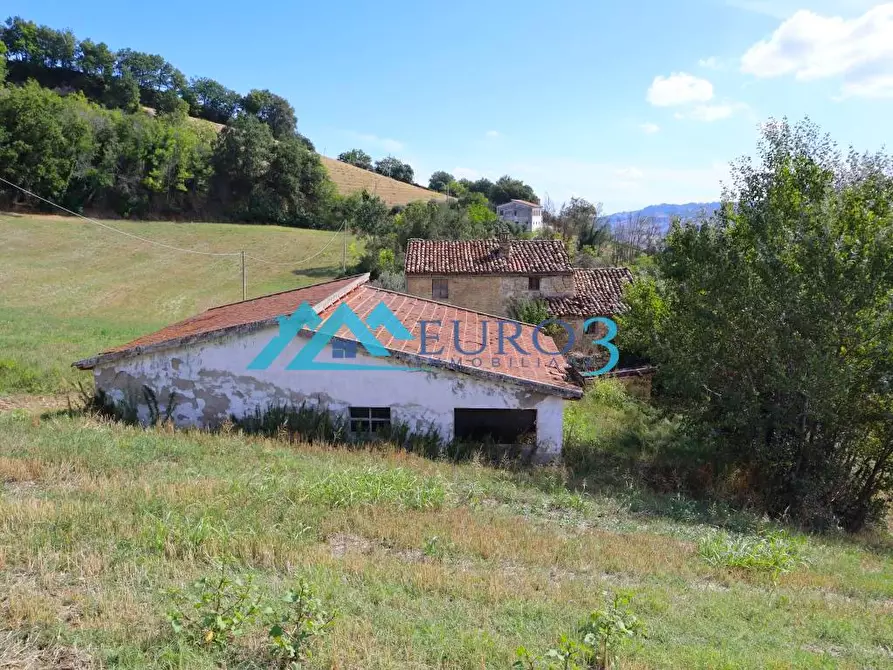 Immagine 3 di Rustico / casale in vendita  in CONTRADA COSTE a Montelparo