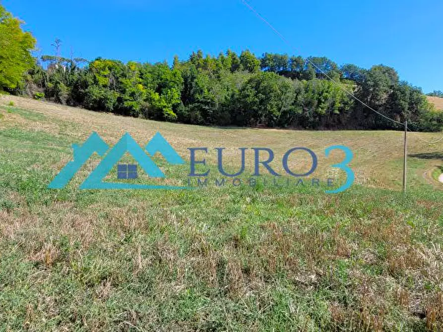 Immagine 8 di Rustico / casale in vendita  in CONTRADA COSTE a Montelparo