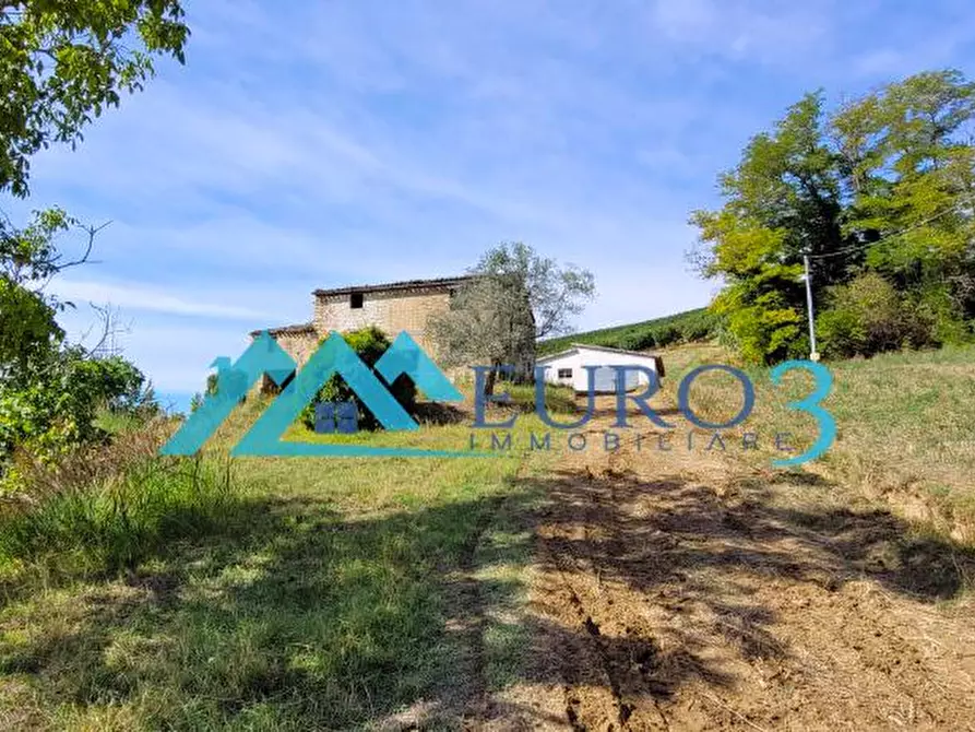 Immagine 12 di Rustico / casale in vendita  in CONTRADA COSTE a Montelparo