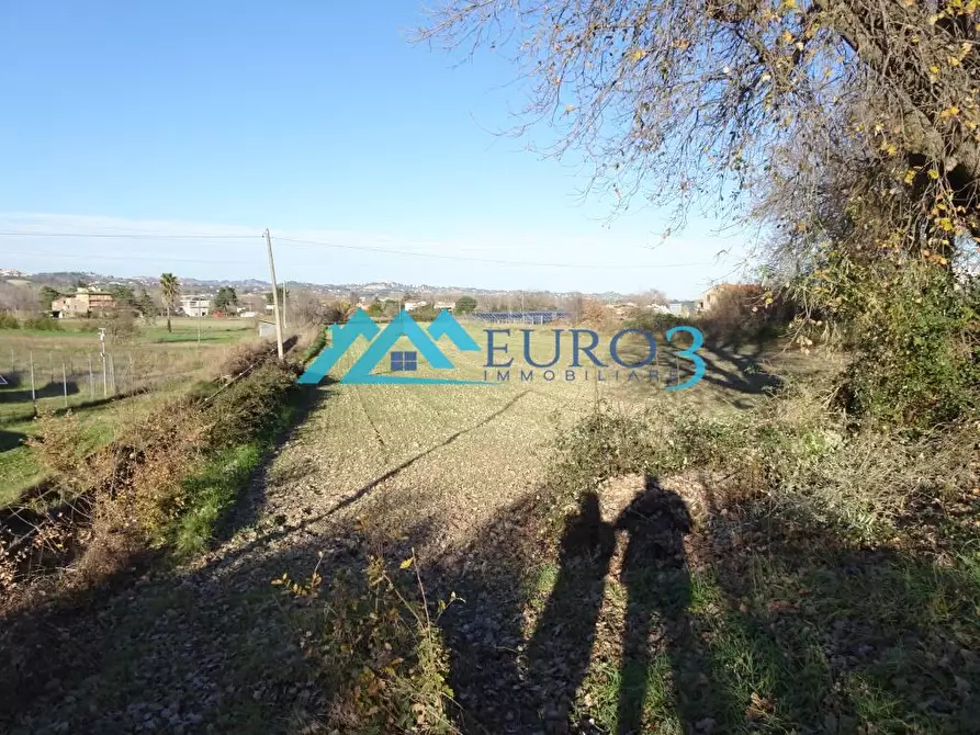 Immagine 2 di Terreno in vendita  a Ancarano