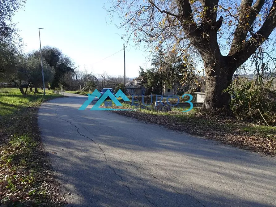 Immagine 3 di Terreno in vendita  a Ancarano