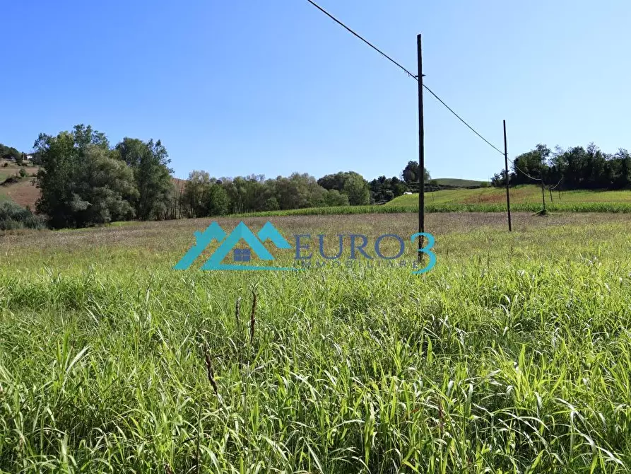 Immagine 4 di Terreno in vendita  in CUCCHIARONI a Amandola