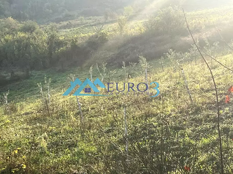 Immagine 5 di Terreno in vendita  in PIANE DI MORRO a Folignano