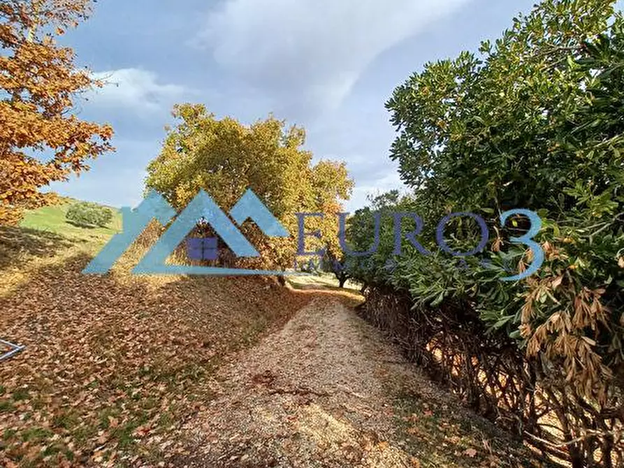 Immagine 14 di Casa indipendente in vendita  in CONTRADA VALLE ORTA N. 78 a Appignano Del Tronto