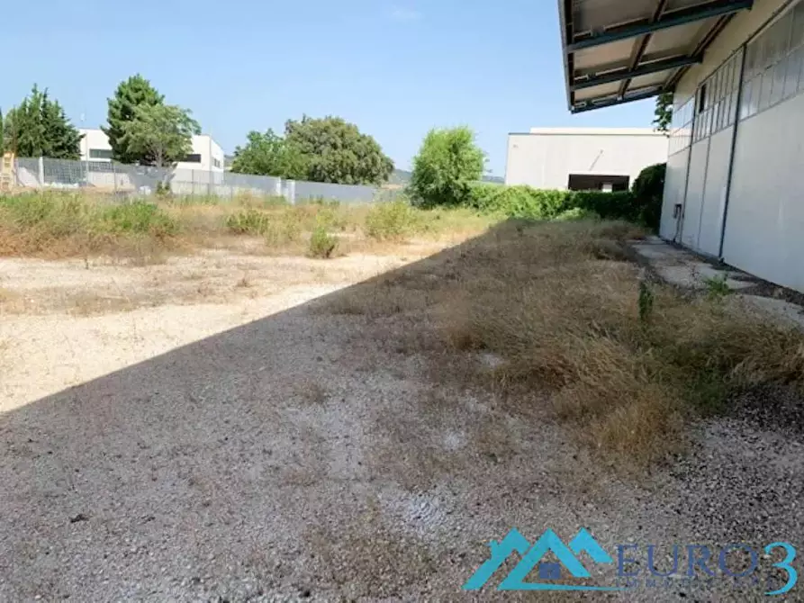 Immagine 11 di Capannone industriale in vendita  in C.DA CESURA a Abbateggio