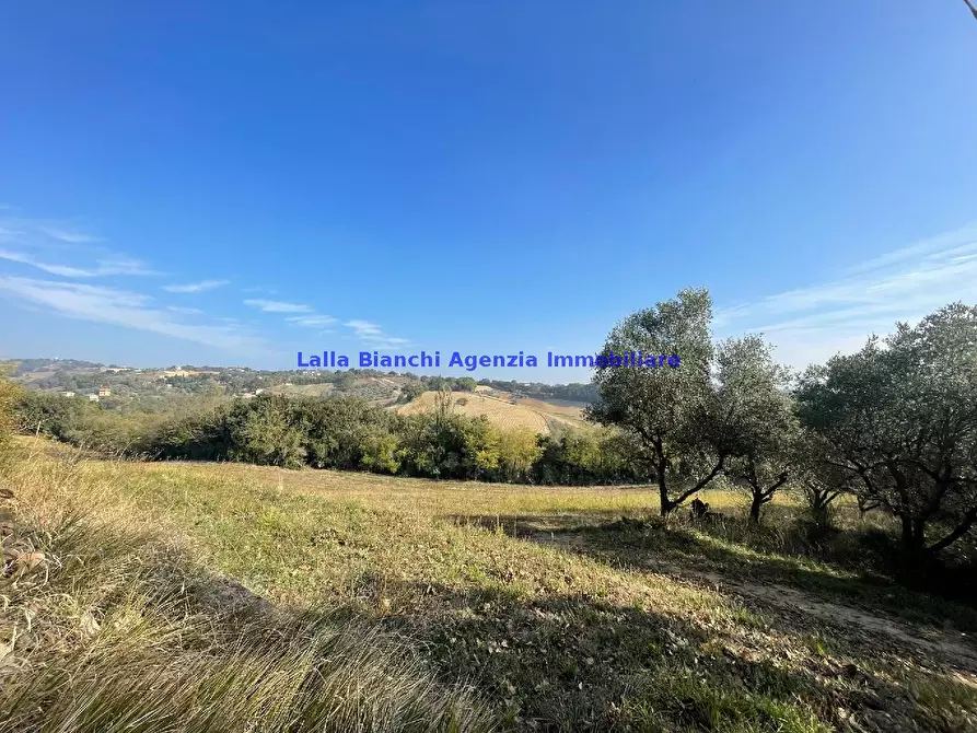 Immagine 11 di Rustico / casale in vendita  in STRADA FERRIERA  a Pesaro