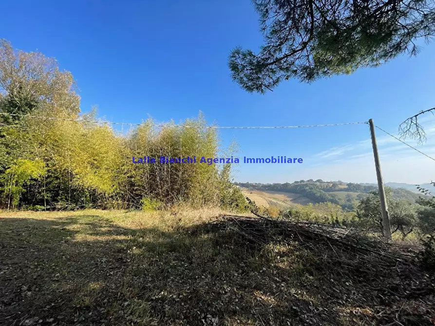 Immagine 13 di Rustico / casale in vendita  in STRADA FERRIERA  a Pesaro