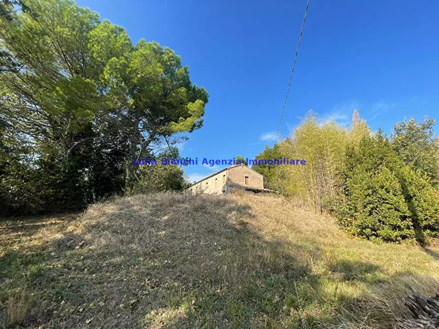 Immagine 14 di Rustico / casale in vendita  in STRADA FERRIERA  a Pesaro