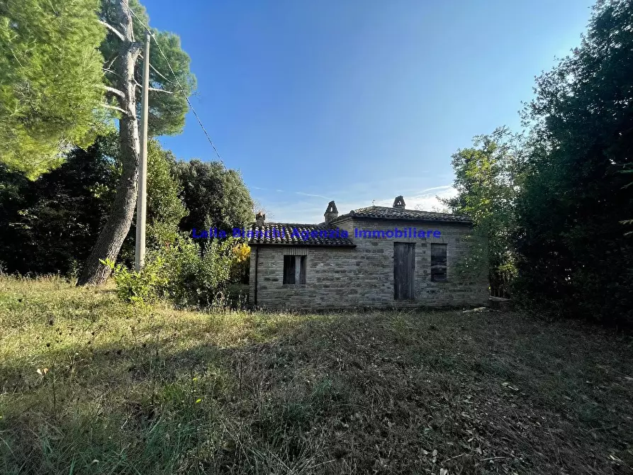Immagine 22 di Rustico / casale in vendita  in STRADA FERRIERA  a Pesaro
