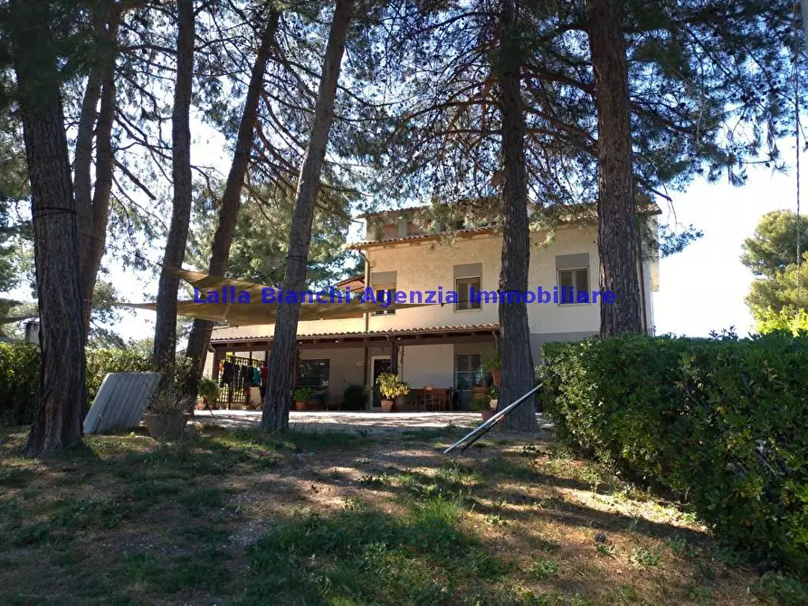 Immagine 9 di Appartamento in vendita  in LOCALITA' RONCOSAMBACCIO  a Fano