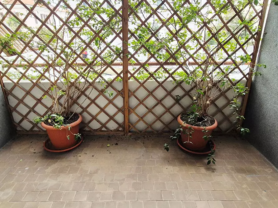 Immagine 74 di Appartamento in vendita  in VIALE GIULIANO VANZOLINI a Pesaro