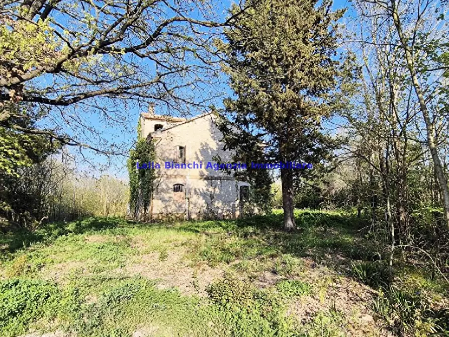 Immagine 17 di Rustico / casale in vendita  in VIA VILLAGRANDE a Pesaro