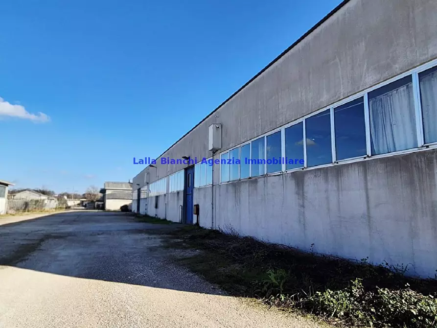 Immagine 3 di Capannone industriale in vendita  in CHIUSA DI GINESTRETO a Pesaro