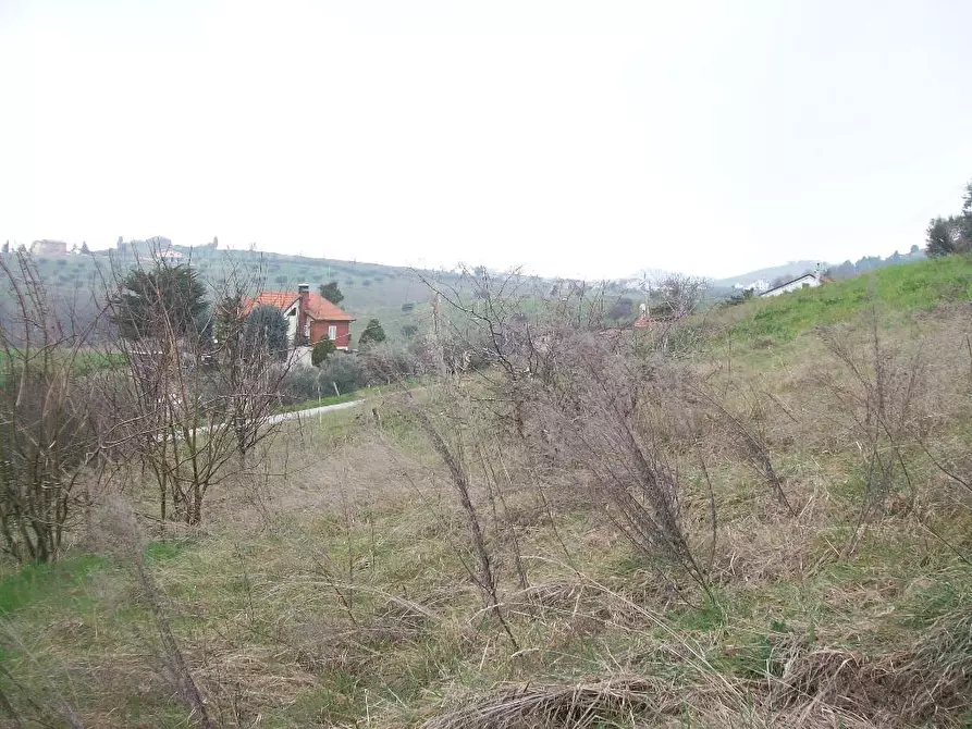 Immagine 5 di Casa colonica in vendita  in CONTRADA VALLE CHIFENTI a Appignano Del Tronto