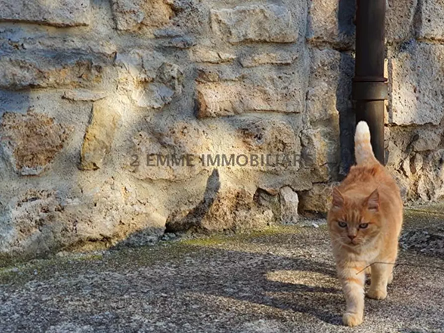 Immagine 21 di Terratetto in vendita  in FRAZIONE ROSARA 87 a Ascoli Piceno
