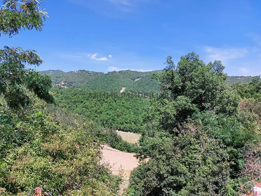 Immagine 8 di Casa colonica in vendita  in VIA OLIBRA 6 a Roccafluvione