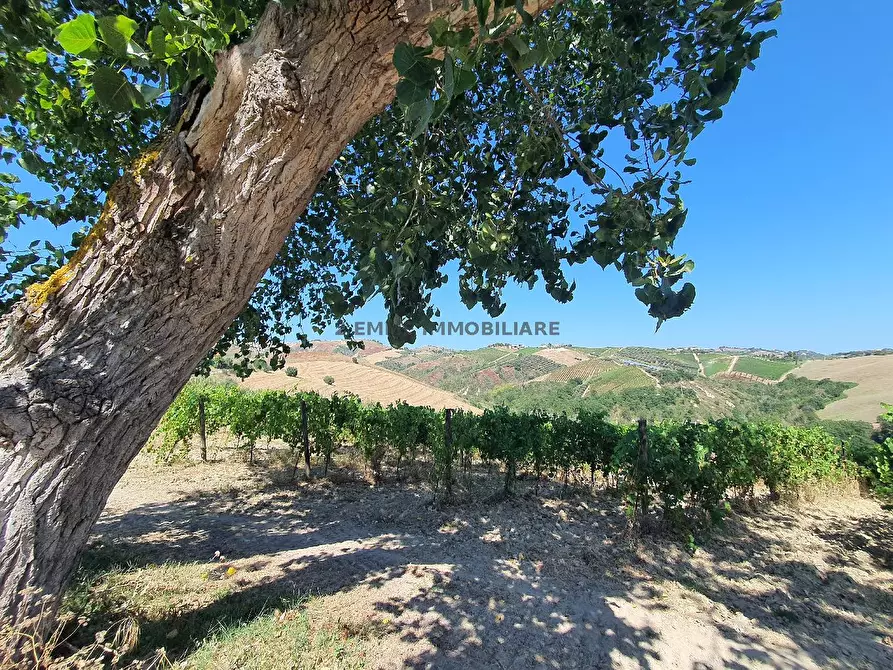 Immagine 10 di Rustico / casale in vendita  in BORGO MIRIAM a Ascoli Piceno