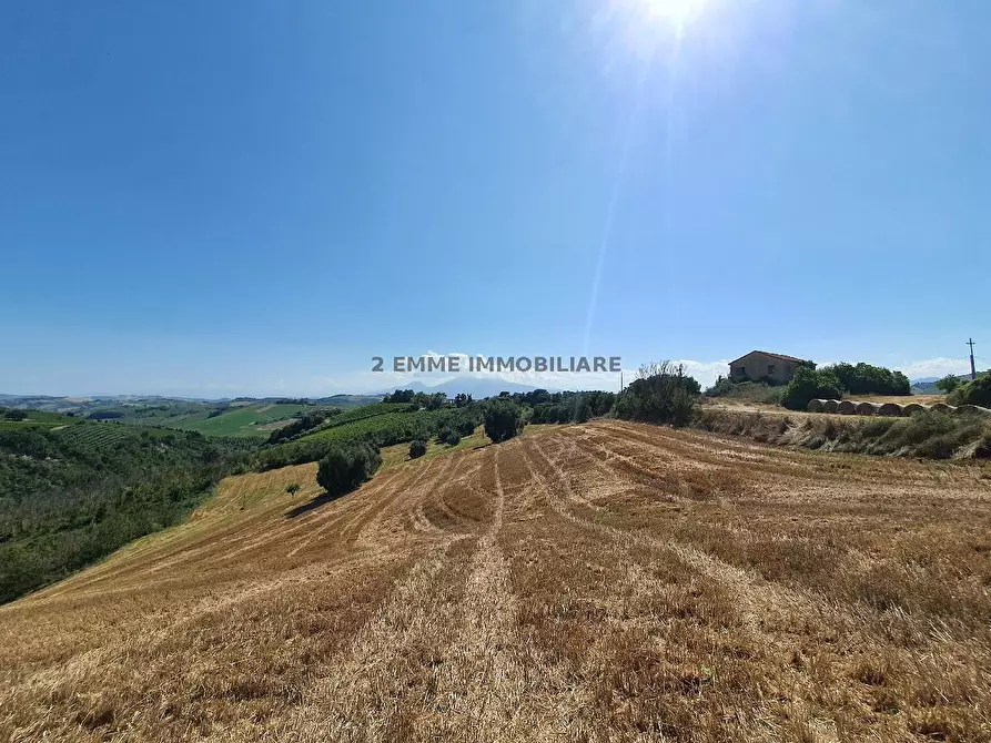 Immagine 11 di Rustico / casale in vendita  in BORGO MIRIAM a Ascoli Piceno