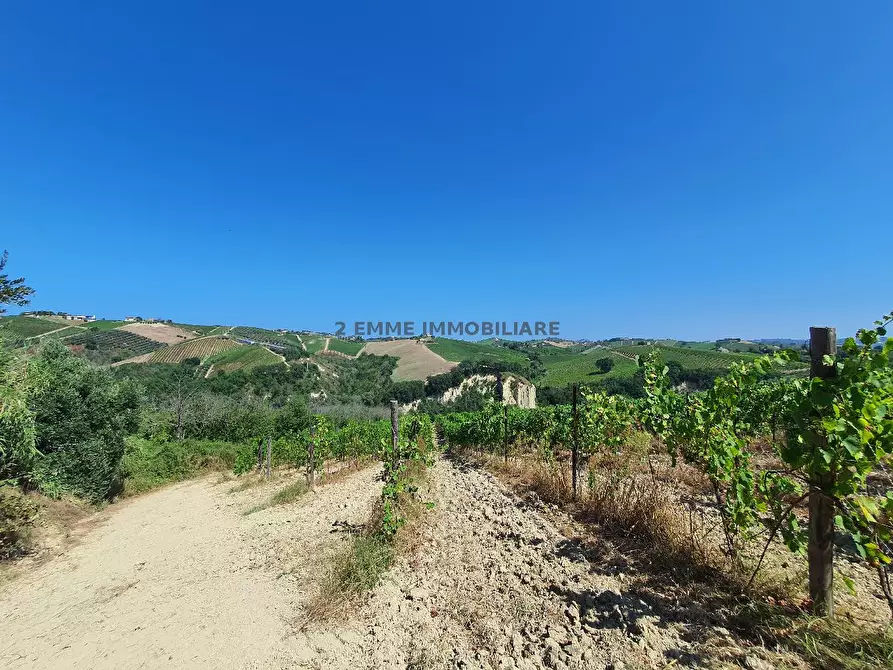 Immagine 14 di Rustico / casale in vendita  in BORGO MIRIAM a Ascoli Piceno