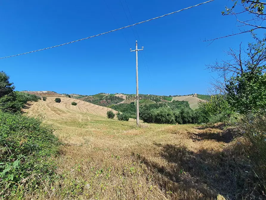 Immagine 19 di Rustico / casale in vendita  in BORGO MIRIAM a Ascoli Piceno