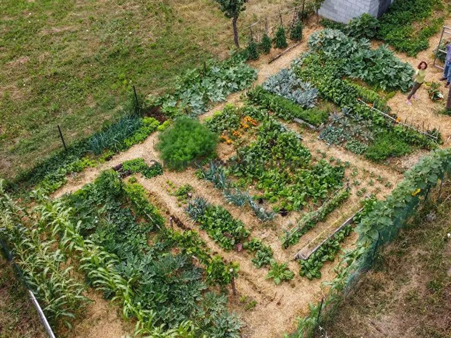 Immagine 1 di Terreno in vendita  in VIA DEI PLATANI a Ascoli Piceno