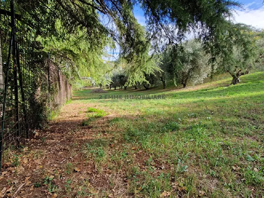 Immagine 2 di Terreno in vendita  in VIA BELLAVALLE a Ascoli Piceno