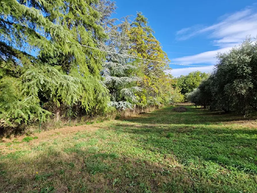 Immagine 4 di Terreno in vendita  in VIA BELLAVALLE a Ascoli Piceno